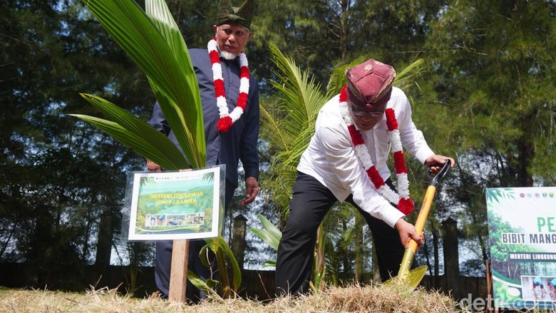 Kampanyekan Gerakan Tobat Ekologis, Menteri LH Siapkan 2 Miliar Pohon