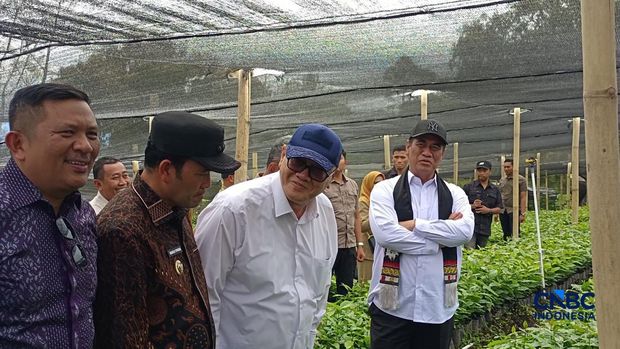 Menteri Pertanian (Mentan) Amran Sulaiman saat meninjau pembibitan kopi di Rimba Raya KM 60, Bener Meriah, Aceh, Selasa (14/7/2026). (CNBC Indonesia/Martyasari Rizky)