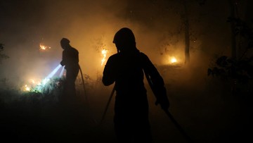 Ngeri Kebakaran Hanguskan Hutan Bersejarah di Dekat Paris
