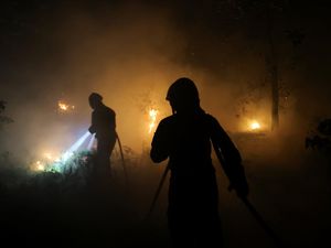 Ngeri Kebakaran Hanguskan Hutan Bersejarah di Dekat Paris