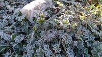 Cuaca Esktrem Melanda Puncak Merbabu, Pendaki Diminta Waspada