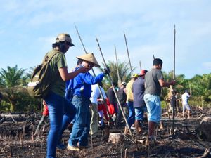 Manugal, Tradisi Gotong Royong Masyarakat Dayak Saat Membuka Ladang