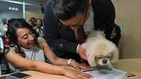 Viral, Pengantin Ini Jadikan Anjing Peliharaan Saksi Resmi Pernikahan