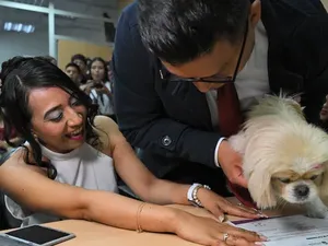 Viral, Pengantin Ini Jadikan Anjing Peliharaan Saksi Resmi Pernikahan
