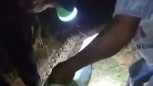 Upaya Terakhir Suami Bebaskan Istri yang Tewas Dililit Piton 6 Meter di Mubar