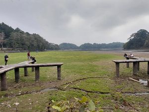 Situ Gede Jadi Padang Rumput, Wisata dan Pertanian Terpukul