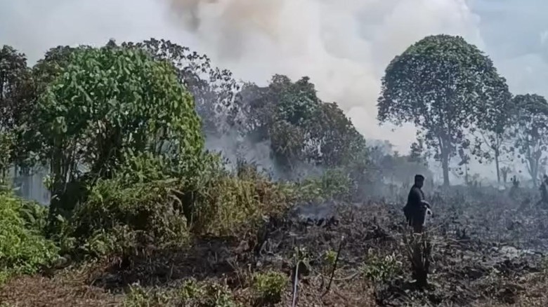 5 Lokasi Karhutla di Kotim Dipasangi Garis Polisi, Pemilik Akan Diperiksa