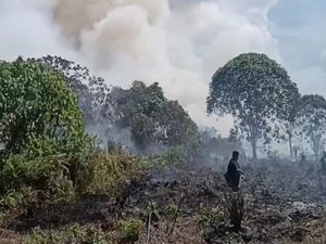 5 Lokasi Karhutla di Kotim Dipasangi Garis Polisi, Pemilik Akan Diperiksa