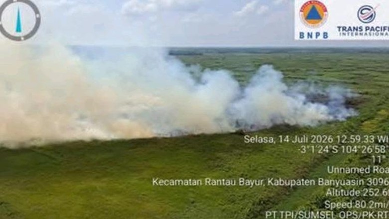 9 Kabupaten di Sumsel Terjadi Karhutla, Puluhan Hektare Lahan Terbakar
