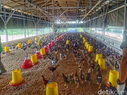 Cikabayam, Asa Baru Ketahanan Pangan Warga Banjaran