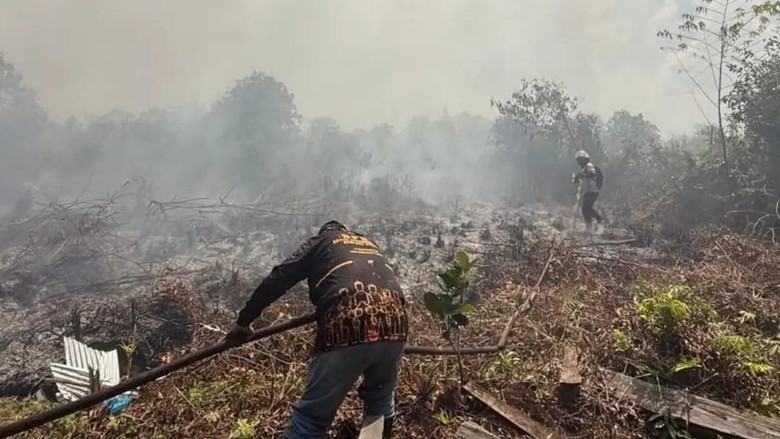 3 Kasus Karhutla Kotim Naik Penyidikan, 1 Kejadian Diduga di Lahan Konsesi
