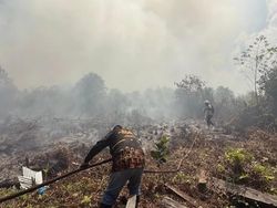 Sumber Air Jauh Jadi Kendala Pemadaman Karhutla di Kotim Kalteng