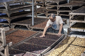 Ekspor Kopi RI Dipacu Tembus Rp100 Triliun via Hilirisasi dan Pasar Baru