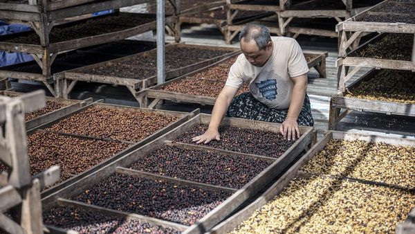 Target Ekspor Kopi Rp100 Triliun Terus Dikejar