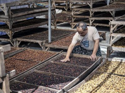 Target Ekspor Kopi Rp100 Triliun Terus Dikejar