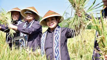 Titiek: Swasembada Pangan Harus Seiring dengan Kesejahteraan Petani