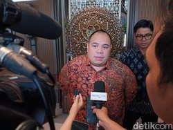 Danantara Jadi Pemodal Awal Pusat Finansial RI? Ini Kata Pandu Sjahrir