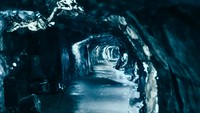 Gua Norwegia Ungkap Dunia Arktik Berusia 75.000 Tahun