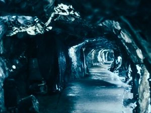 Gua Norwegia Ungkap Dunia Arktik Berusia 75.000 Tahun