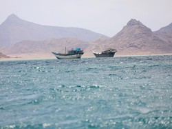 Iran Minta Houthi Tutup Laut Merah Jika AS Serang Pembangkit Listrik