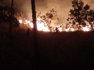 100 Hektare Sabana Bukit Keranga Labuan Bajo Terbakar