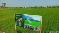 Kementan Terapkan Pertanian Modern di Trenggalek, Segini Targetnya