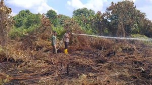 Lahan Gambut Muaro Jambi Terbakar, BPBD: Satgas Fokus Lakukan Pendinginan