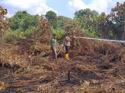 Lahan Gambut Muaro Jambi Terbakar, BPBD: Satgas Fokus Lakukan Pendinginan