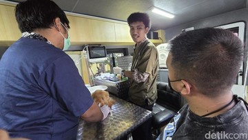 Cerita Dokter Obati Kambing hingga Iguana di Mobil Klinik Keliling