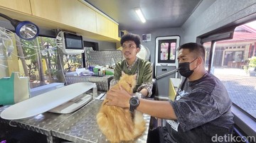 Klinik Hewan Keliling di Jakarta: Pasiennya Kucing hingga Kambing