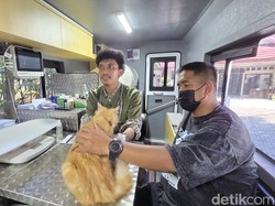 Klinik Hewan Keliling di Jakarta: Pasiennya Kucing hingga Kambing