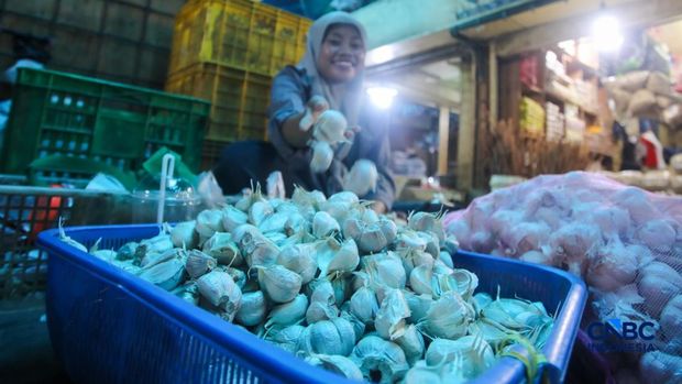 Pekerja mengupas bawang putih di Pasar Induk Kramat Jati, Jakarta, Kamis (16/7/2026). Badan Pusat Statistik (BPS) mencatat Indonesia tetap sangat berjuntai pada China untuk memenuhi kebutuhan impor bawang putih. (CNBC Indonesia/Faisal Rahman)