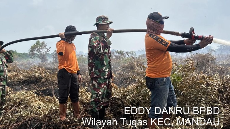 Karhutla di Riau Meluas, Total 15 Ribuan Lahan Hangus Sepanjang 2026