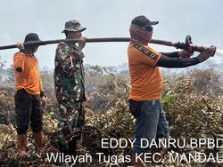 Karhutla di Riau Meluas, Total 15 Ribuan Lahan Hangus Sepanjang 2026