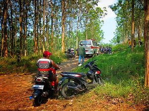 Jejak Ponsel Bongkar Teka-teki Kerangka Yani di Hutan Jati Sukabumi