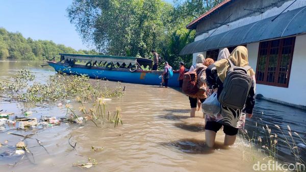 Potret Perjuangan Guru di Pesisir Sidoarjo Saat Banjir Rob