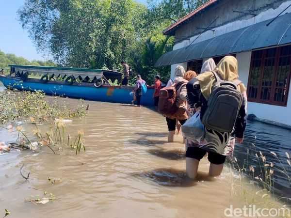 Potret Perjuangan Guru di Pesisir Sidoarjo Saat Banjir Rob