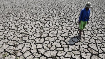 Sawah di Tasikmalaya Mengering Imbas Kemarau