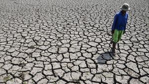 Sawah di Tasikmalaya Mengering Imbas Kemarau