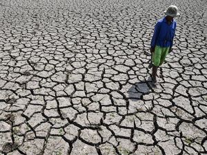 Prediksi Terbaru BMKG soal El Nino, Kategori Sangat Kuat-Bertahan sampai Awal 2027
