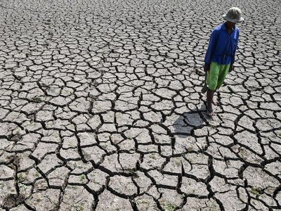 Sawah di Tasikmalaya Mengering Imbas Kemarau