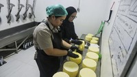 Susu Segar Peternak Lokal Disulap Jadi Keju Artisan di Sleman