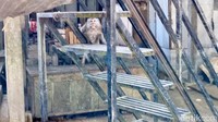 Ratusan Monyet Turun Gunung, Serbu Pasar dan Permukiman Warga Telaga Ngebel
