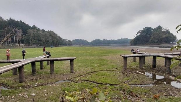 Situ Gede Jadi Padang Rumput, Akibat Kemarau Situ Gede Jadi Padang Rumput, Akibat Kemarau