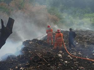 DLH Sanksi Pembakar TPS Ilegal di Cikeas, Wajib Bersihkan dan Pulihkan Lahan