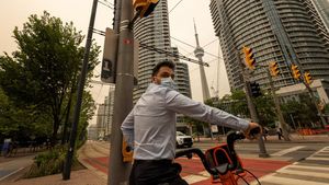 Udara Toronto Memburuk, Waspadai Risiko Gangguan Pernapasan Akibat Asap Kebakaran Hutan