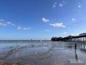 Bertemu Pencuri Bersayap di Pantai Brighton