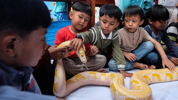 Edukasi Reptil Ajak Anak TK Berani dan Peduli Satwa