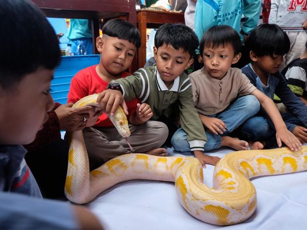 Edukasi Reptil Ajak Anak TK Berani dan Peduli Satwa