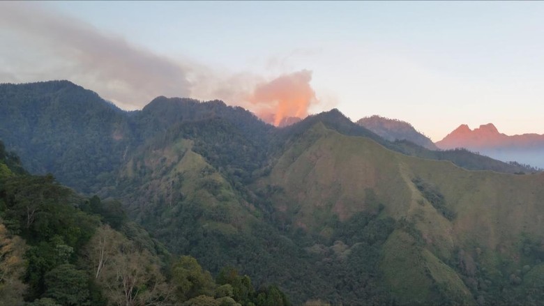 Gunung Biru Masih Terbakar, BPBD Jatim Ungkap Kendala Pemadaman